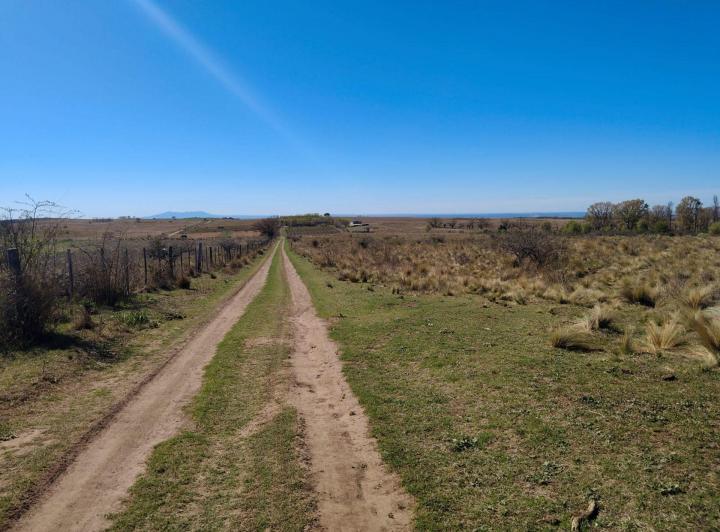Campo · 2ha