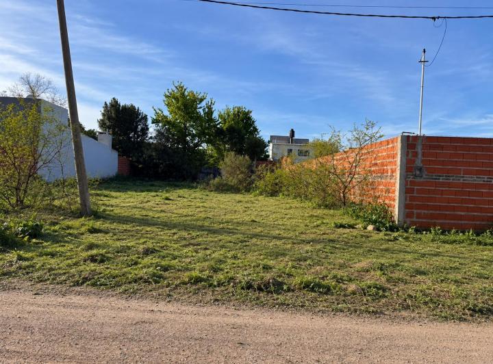 Terreno · 250m²