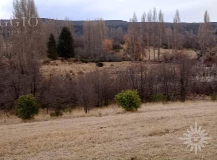 Terreno · 40000m²
