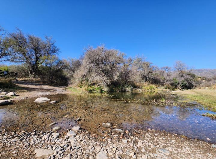 Campo · 8000m²
