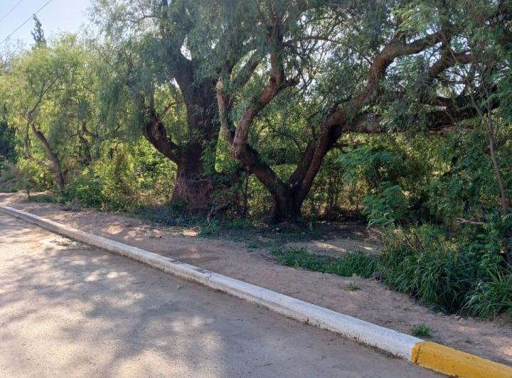 Terreno · 1000m²