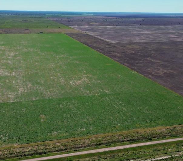 Campo · 7100000m²