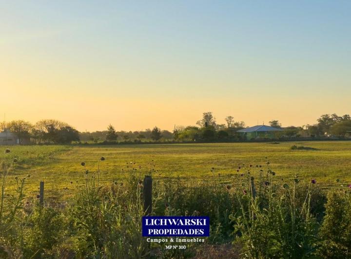 Terreno · 10000m²