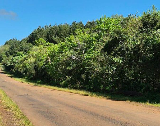 Campo · 80000m²