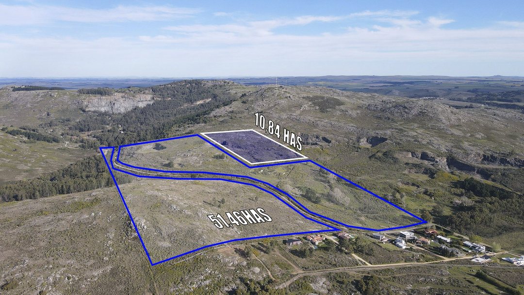 EN VENTA PREDIO SERRANO DE 99 HECTÁREAS TANDIL