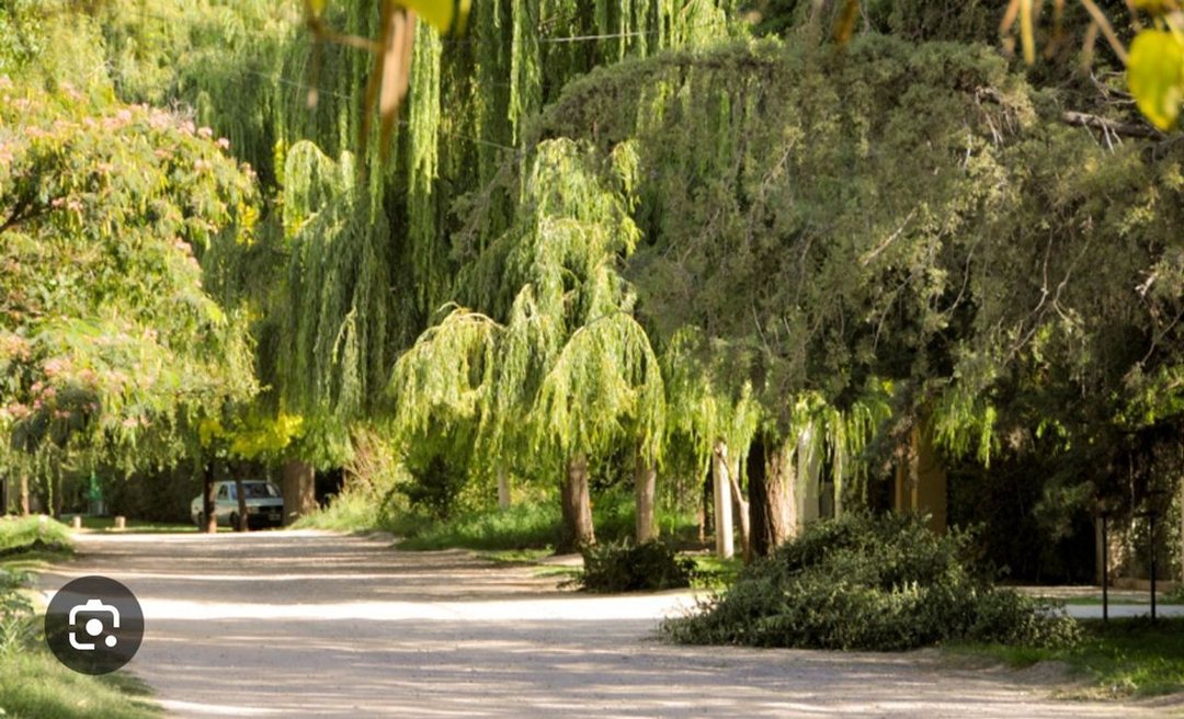 venta lote callejon privado en chacras de coria
