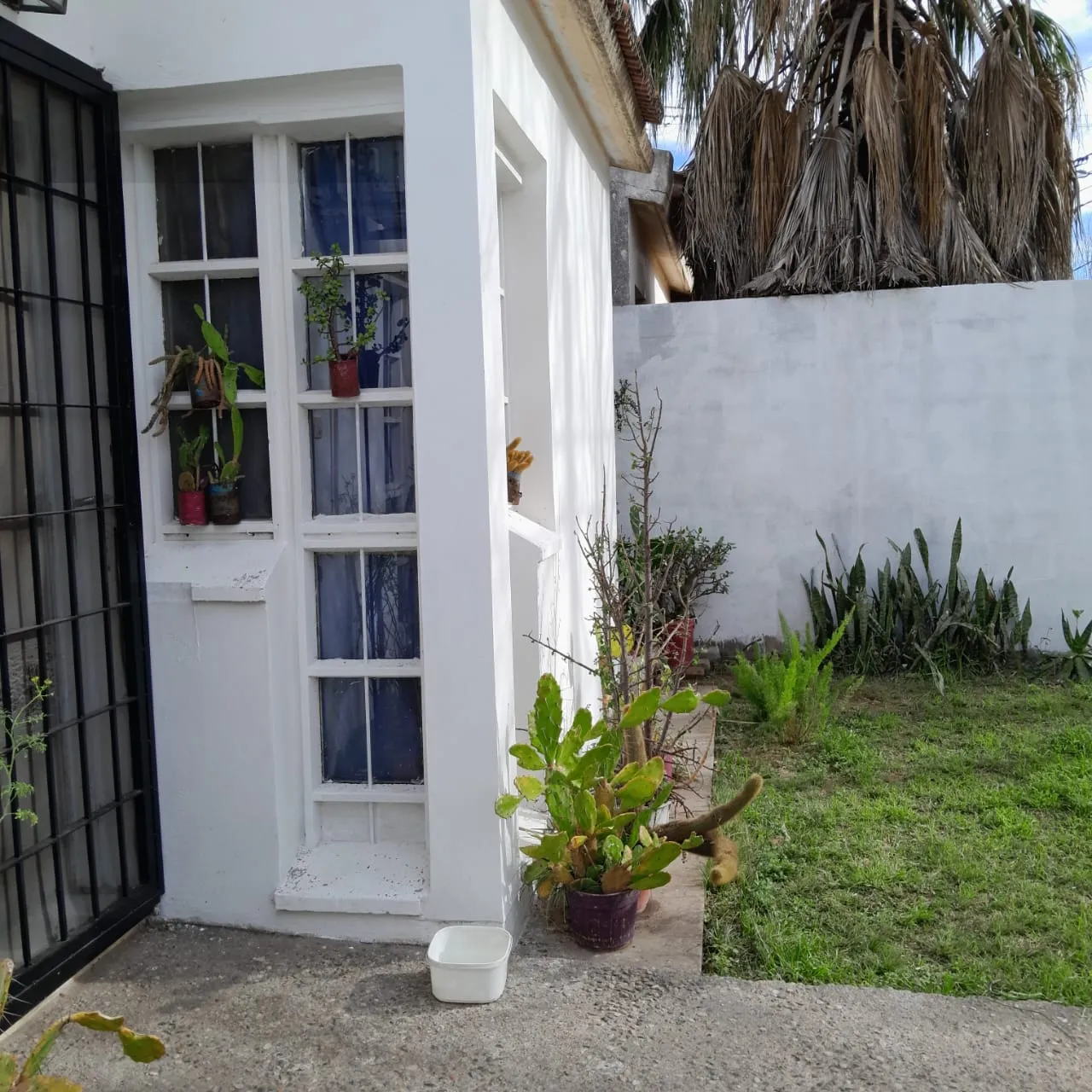 VENTA DE CASA EN LILLY BENITEZ QUINTA. LOS BOULEVARES