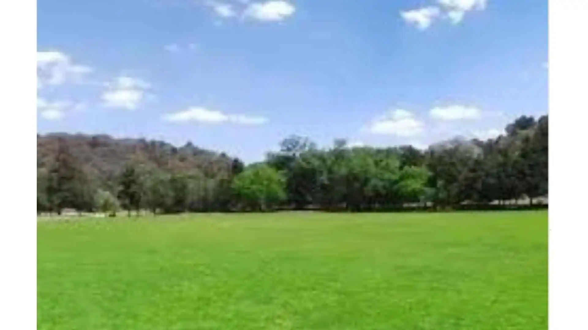 LOTE VENTA PARQUE LELOIR
