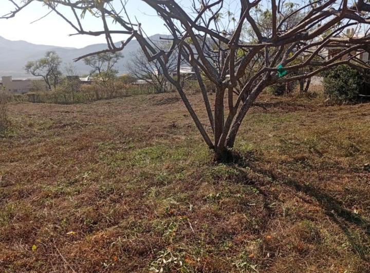 Terreno · 1328m²