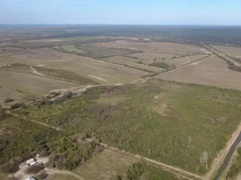Campo de 438 ha sobre rn 34. pje. san martín l.b