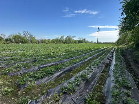 Venta finca lules 3,4ha con galpon y servicios
