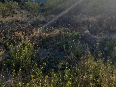 Excelente terreno en solana