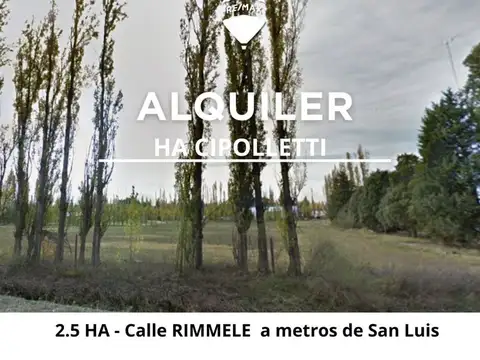 Alquiler hectarea cipolletti