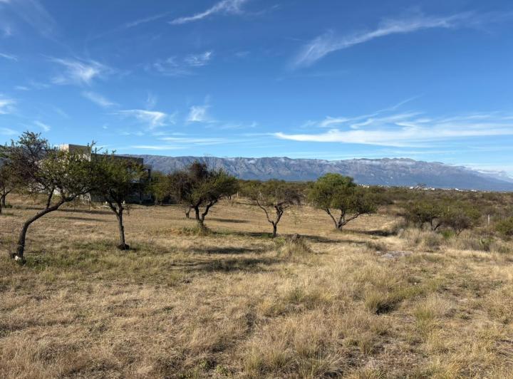 Terreno · 1028m²