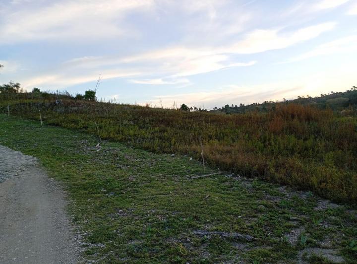 Terreno · 5397m²