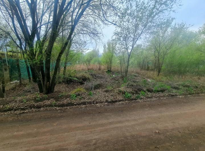 Terreno · 1083m²