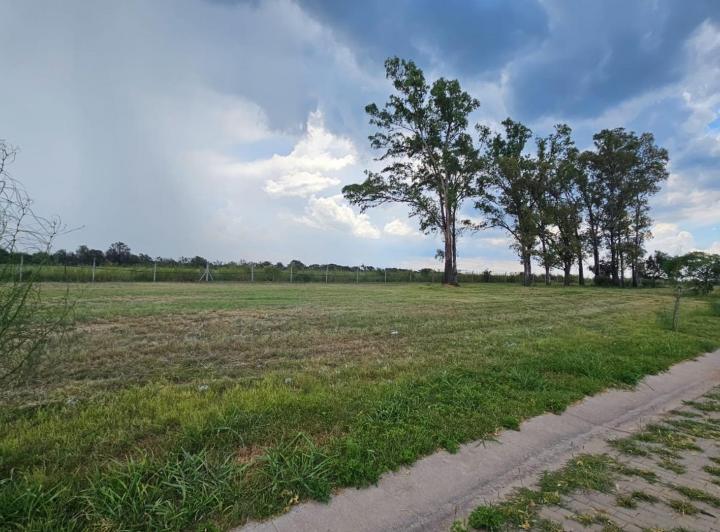 Terreno · 800m²