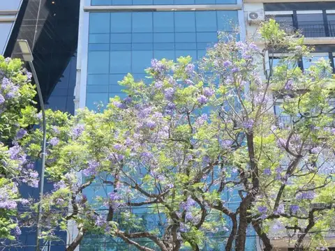 Oficina en alquiler en retiro