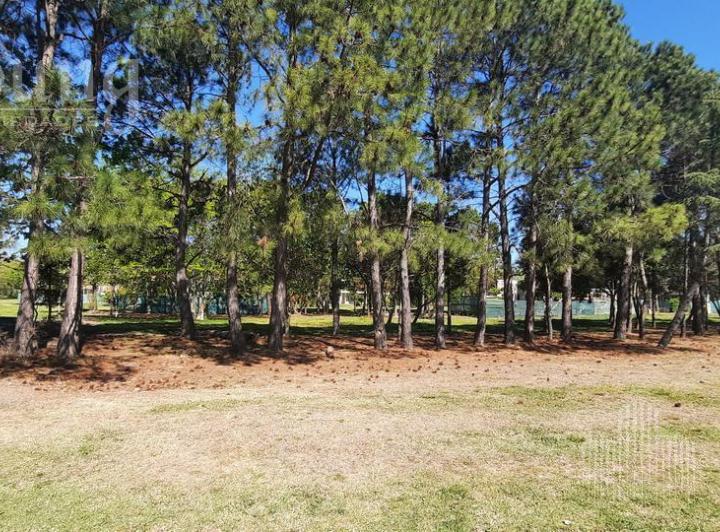 Terreno · 800m²
