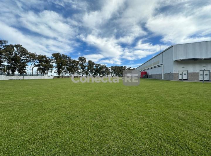 Terreno · 8000m²