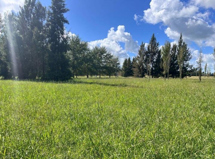 Terreno · 1081m²