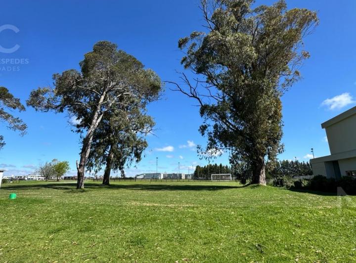 Terreno · 750m²