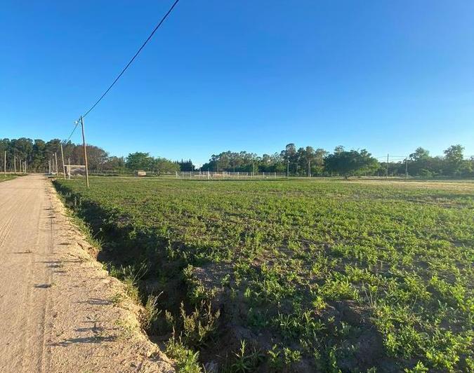 Terreno · 300m²