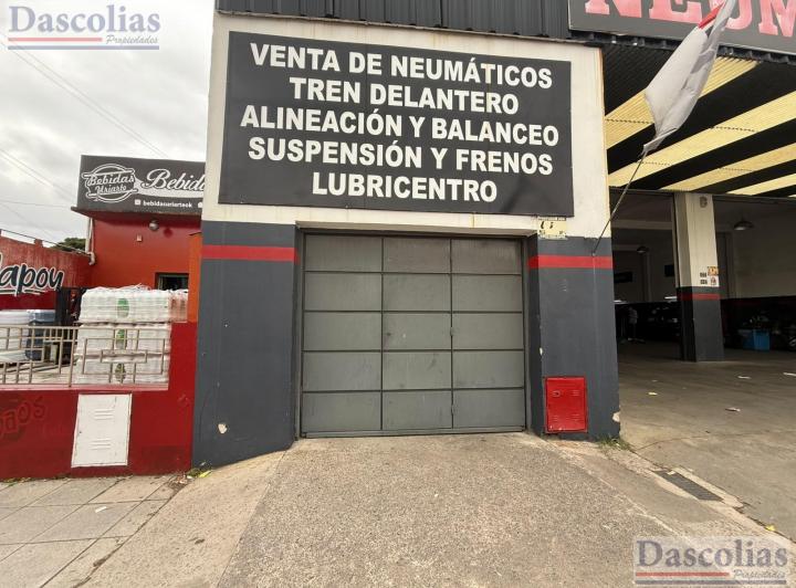 Bodega-Galpón · 360m²