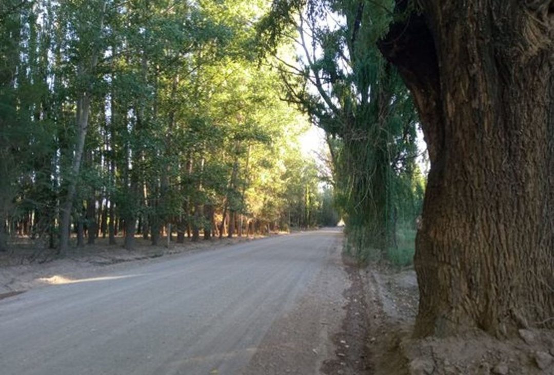 Venta Lote Comercial y Residencial Uspallata Mza