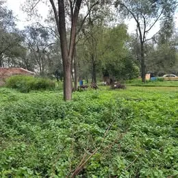Dos lotes de terreno Mitimay |600M2| Recibo vehículo automotor, financio y vendo