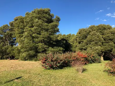 Terreno en Venta en Castelli, Partido de Castelli