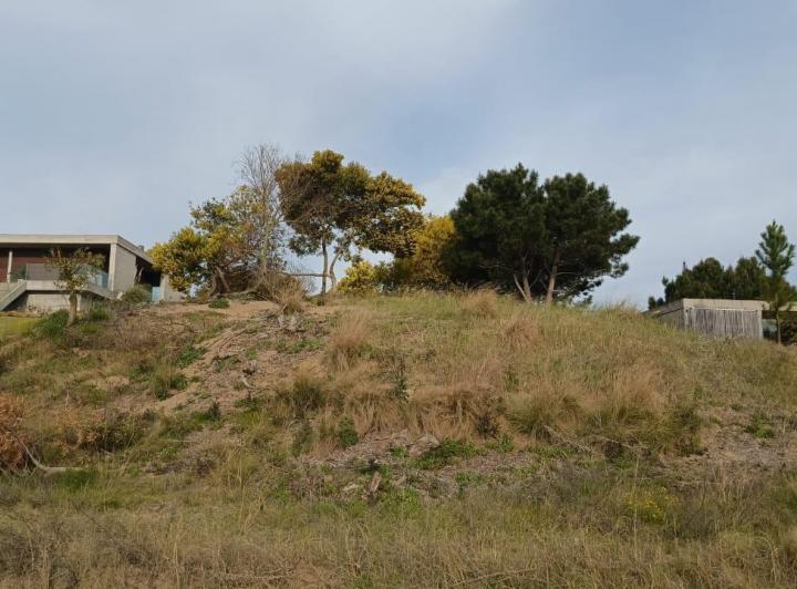 Terreno · 1000m²