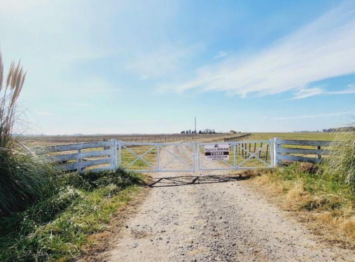 Campo · 488ha