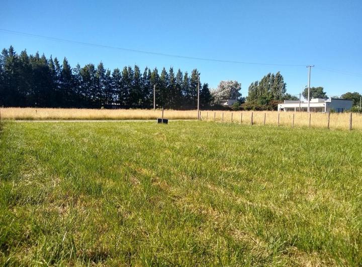 Terreno · 13000m²