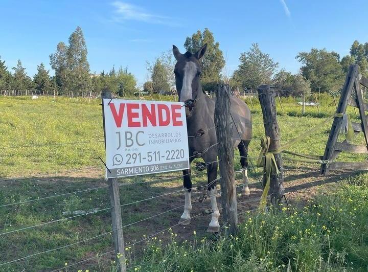 Terreno · 4796m²