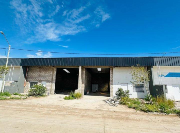 Bodega-Galpón · 150m²