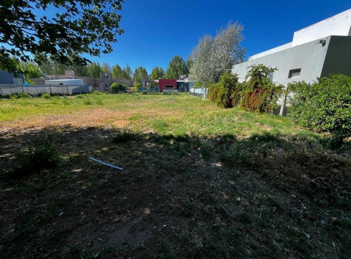 Terreno · 650m²