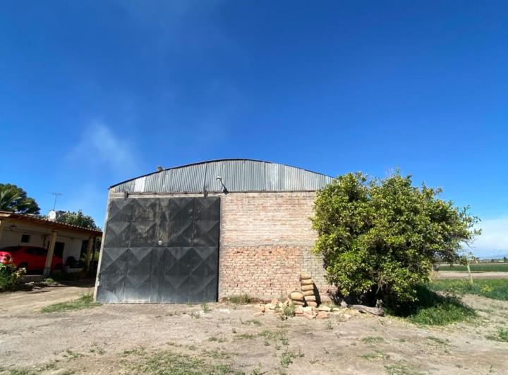 Bodega-Galpón · 150m²