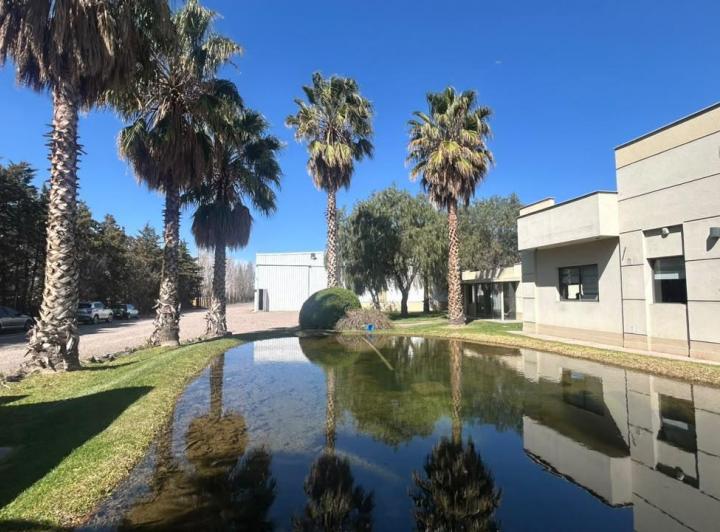 Bodega-Galpón · 750m²