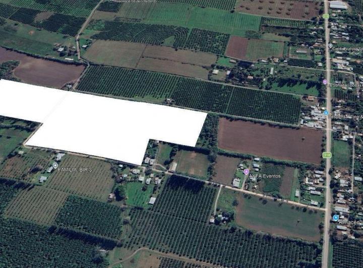 Campo · 7ha