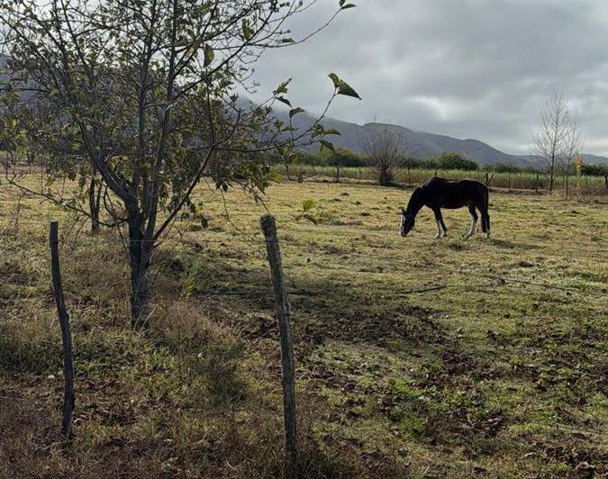Terreno · 4730m²