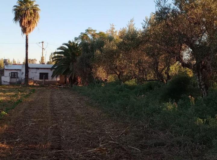 Terreno · 24880m²