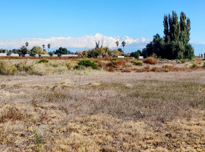 Terreno · 1000m²