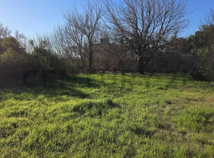 Terreno · 372m²