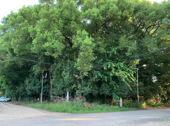 Terreno · 5400m²