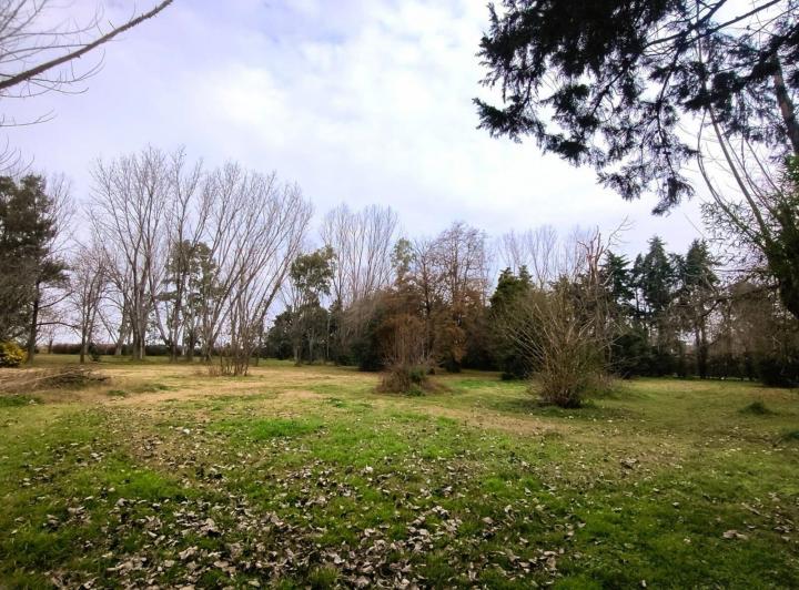 Terreno · 10516m²