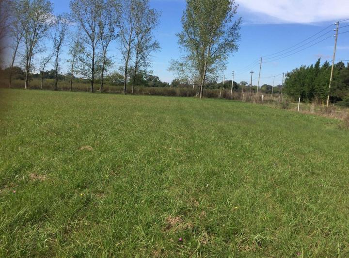 Terreno · 5000m²