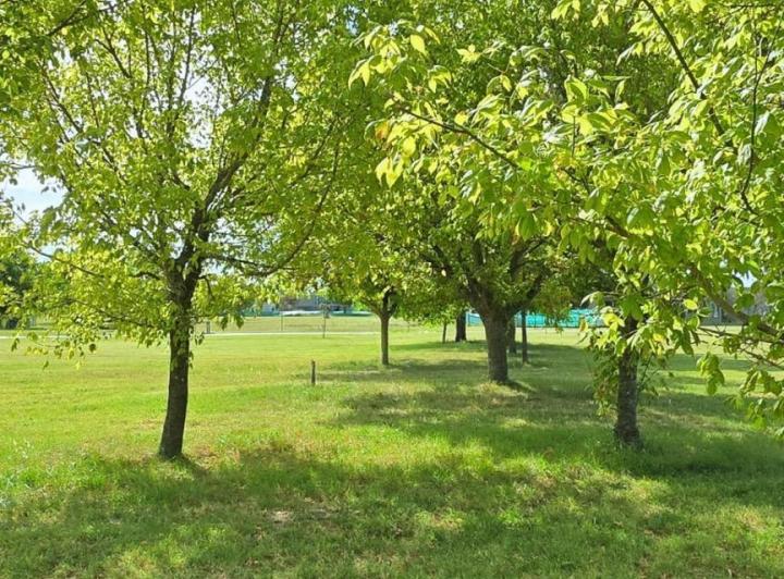 Terreno · 1000m²
