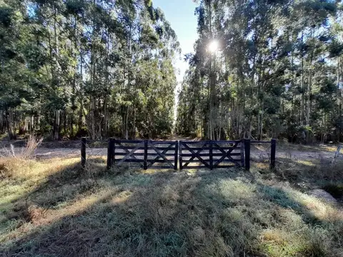 Campo en Venta en Esquina, Corrientes