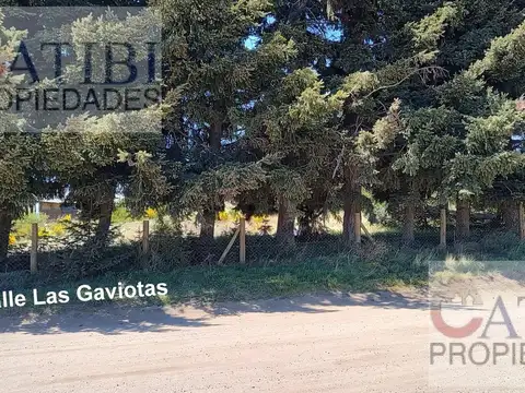Lotes en ph en venta. los pinguinos y las gaviotas. dina huapi